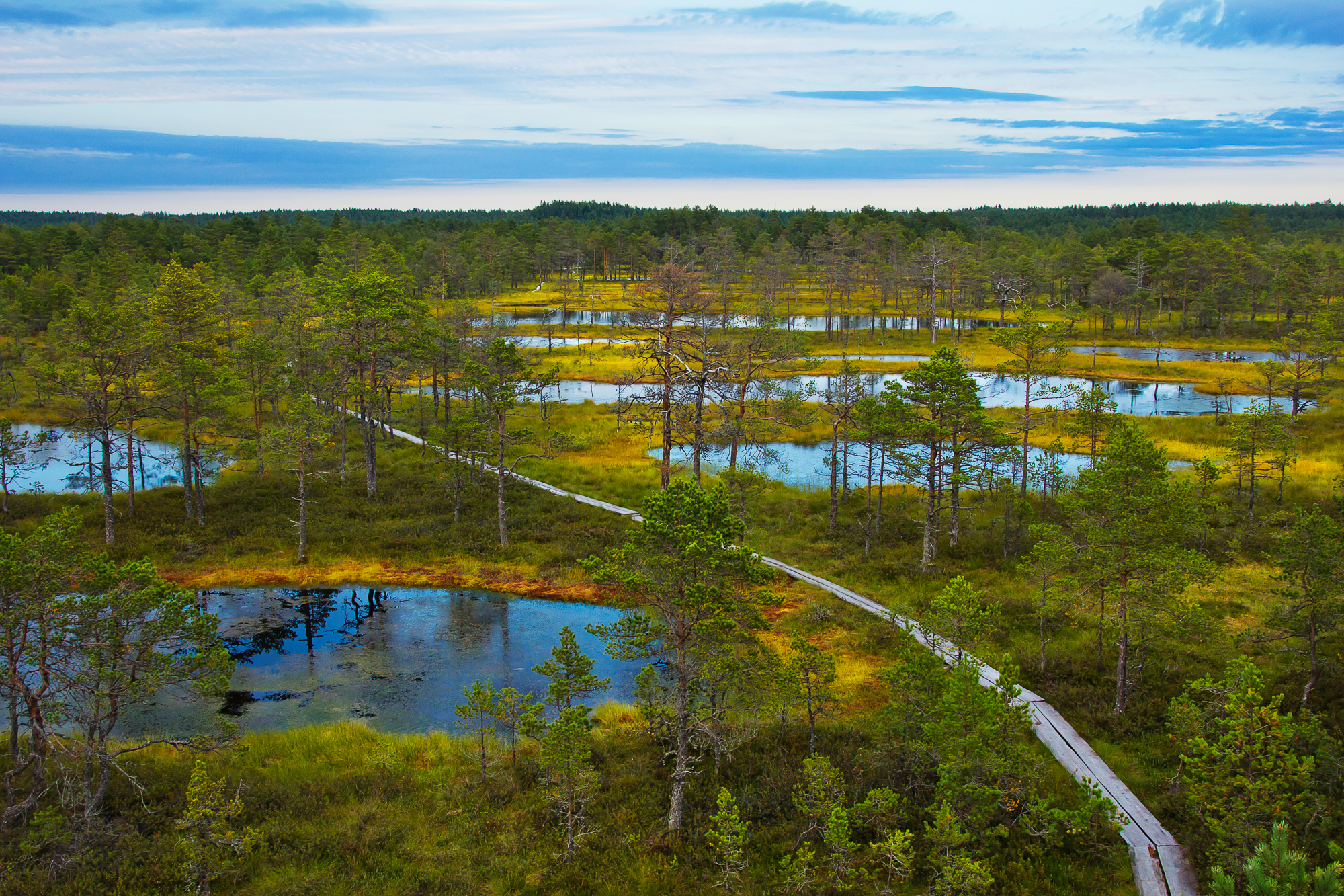 Viru bog, Lahemaa National Park, Estonia